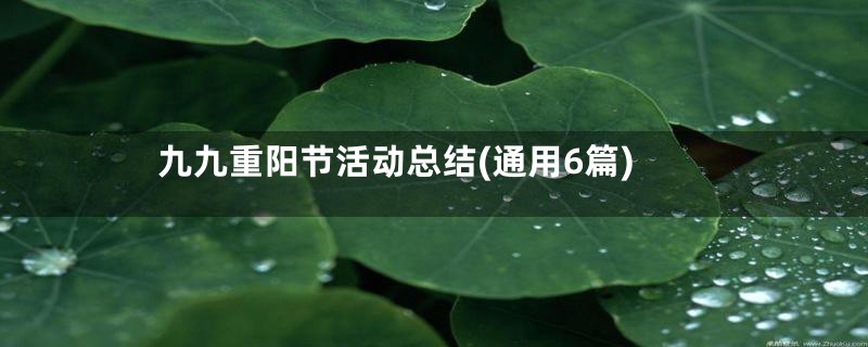 九九重阳节活动总结(通用6篇)