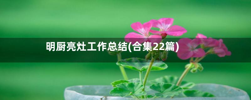 明厨亮灶工作总结(合集22篇)