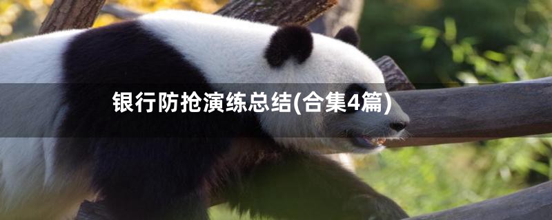 银行防抢演练总结(合集4篇)