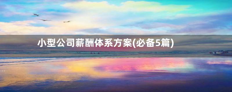 小型公司薪酬体系方案(必备5篇)