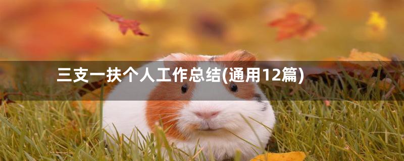三支一扶个人工作总结(通用12篇)