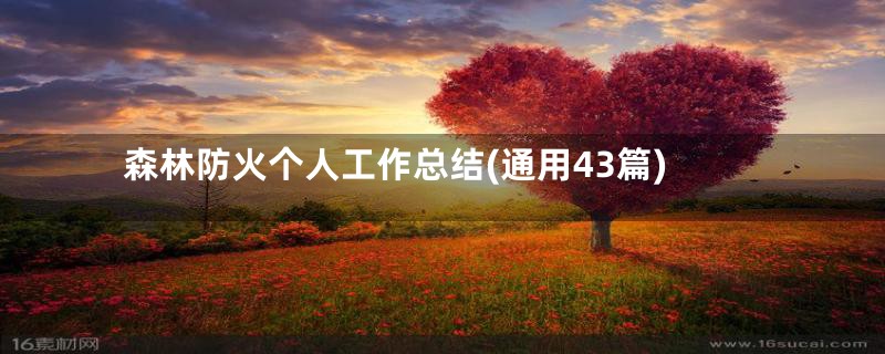 森林防火个人工作总结(通用43篇)
