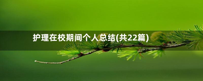 护理在校期间个人总结(共22篇)