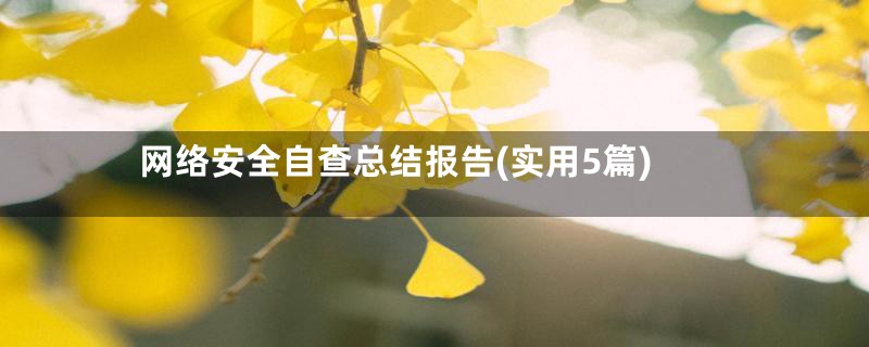 网络安全自查总结报告(实用5篇)