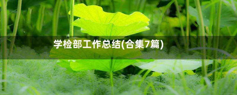 学检部工作总结(合集7篇)
