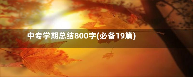 中专学期总结800字(必备19篇)