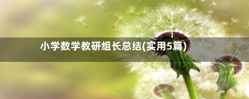小学数学教研组长总结(实用5篇)