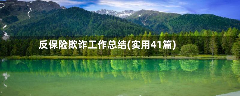 反保险欺诈工作总结(实用41篇)