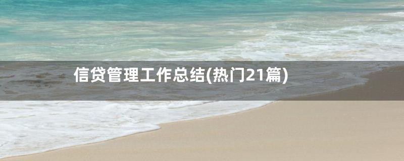 信贷管理工作总结(热门21篇)