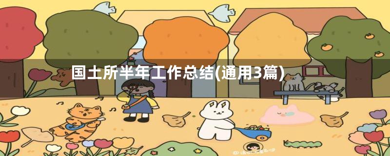 国土所半年工作总结(通用3篇)