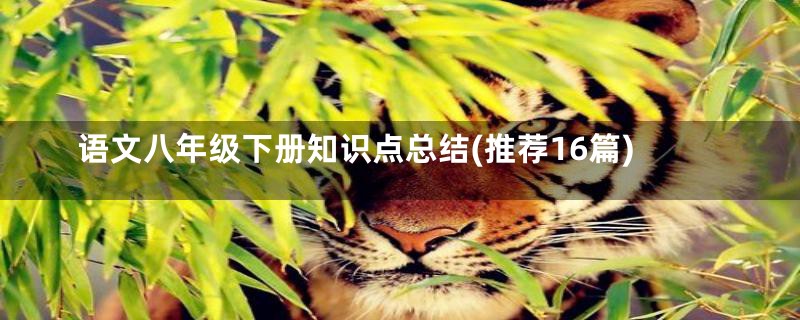 语文八年级下册知识点总结(推荐16篇)