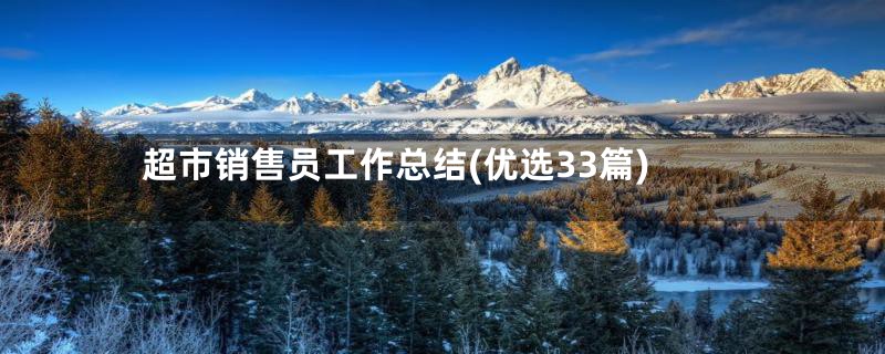 超市销售员工作总结(优选33篇)