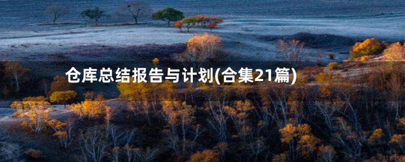 仓库总结报告与计划(合集21篇)
