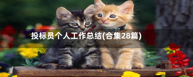 投标员个人工作总结(合集28篇)