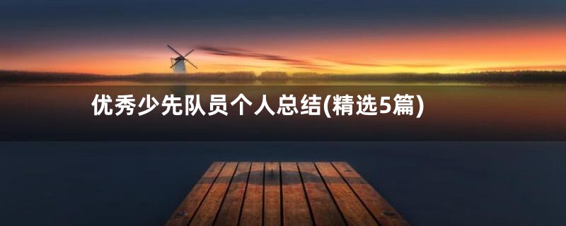 优秀少先队员个人总结(精选5篇)