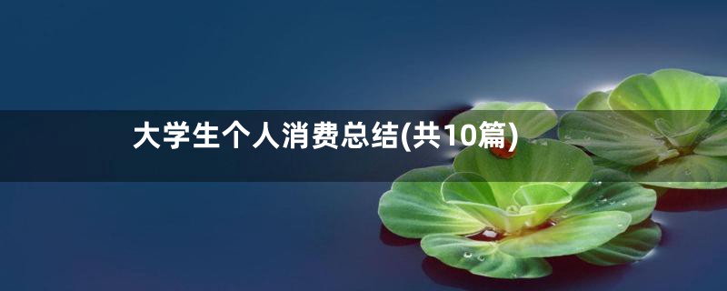 大学生个人消费总结(共10篇)