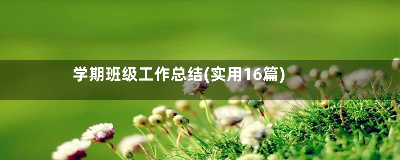 学期班级工作总结(实用16篇)