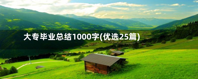 大专毕业总结1000字(优选25篇)