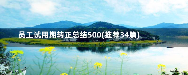 员工试用期转正总结500(推荐34篇)