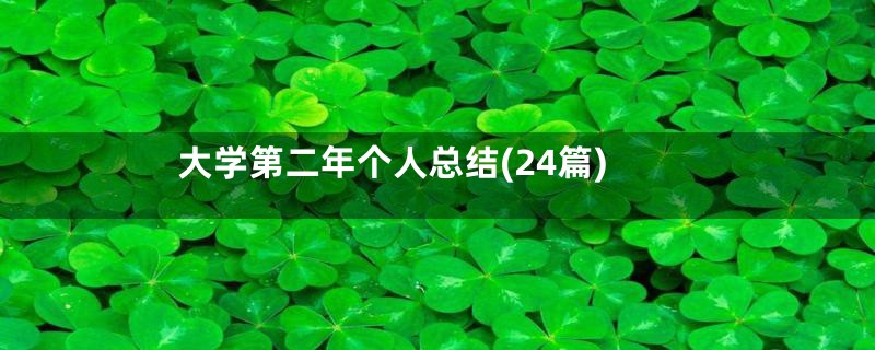 大学第二年个人总结(24篇)