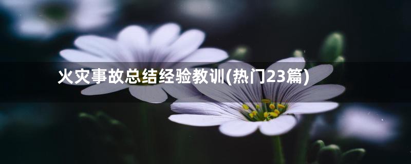 火灾事故总结经验教训(热门23篇)