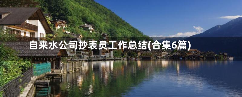 自来水公司抄表员工作总结(合集6篇)