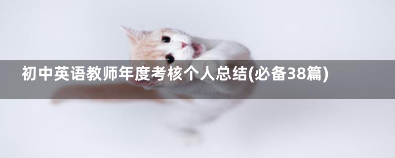 初中英语教师年度考核个人总结(必备38篇)
