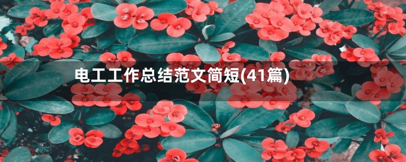 电工工作总结范文简短(41篇)