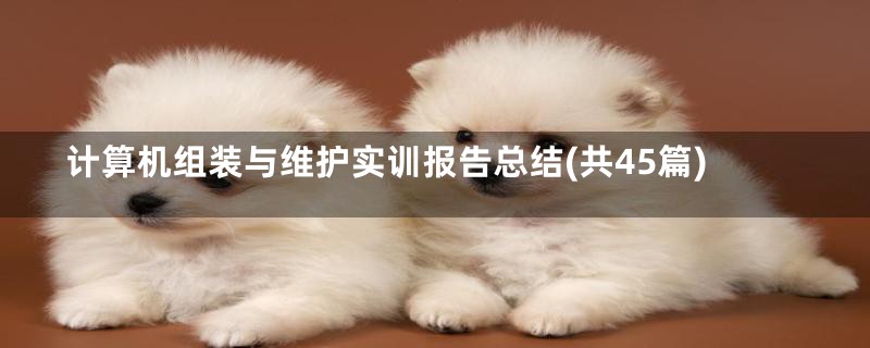 计算机组装与维护实训报告总结(共45篇)