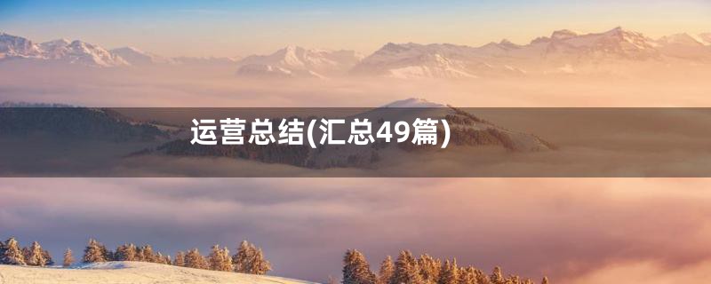 运营总结(汇总49篇)