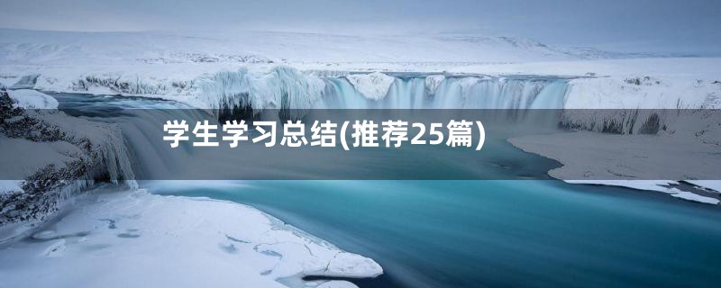 学生学习总结(推荐25篇)