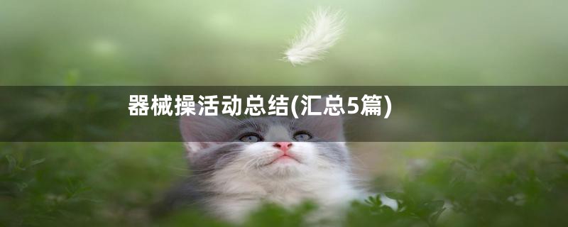 器械操活动总结(汇总5篇)
