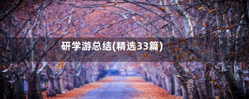 研学游总结(精选33篇)