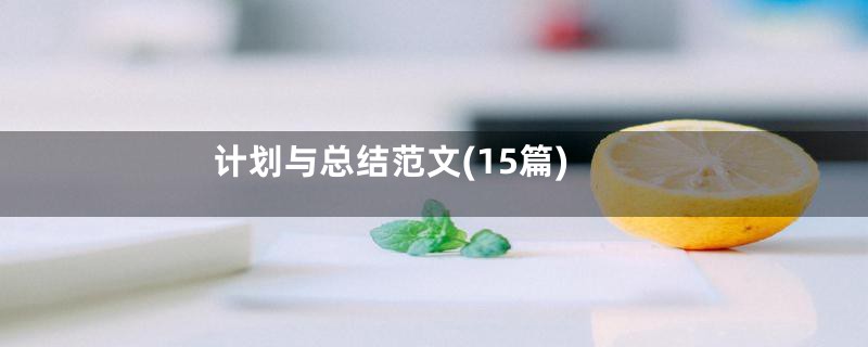 计划与总结范文(15篇)
