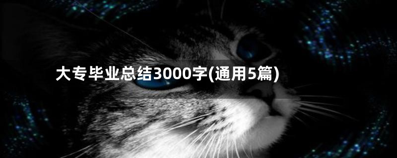 大专毕业总结3000字(通用5篇)