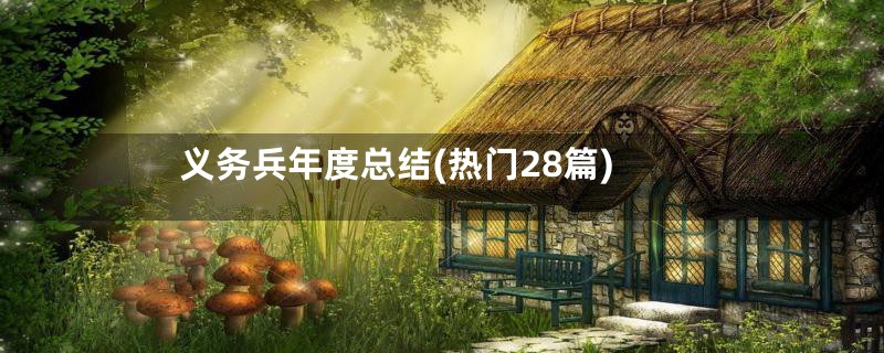 义务兵年度总结(热门28篇)