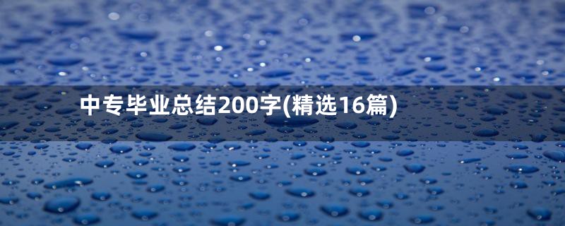 中专毕业总结200字(精选16篇)