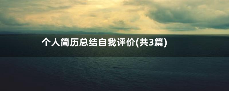 个人简历总结自我评价(共3篇)