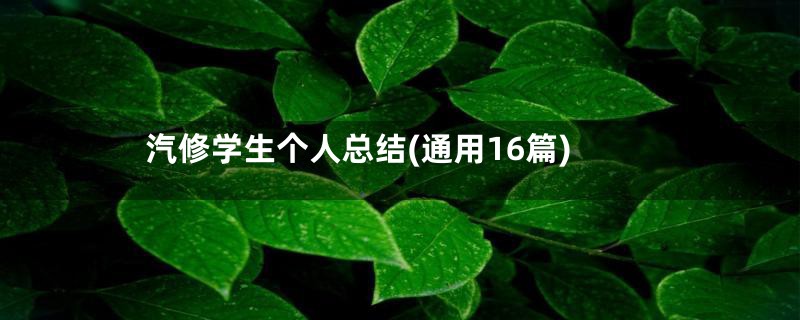 汽修学生个人总结(通用16篇)