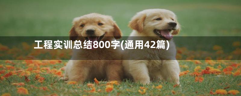 工程实训总结800字(通用42篇)