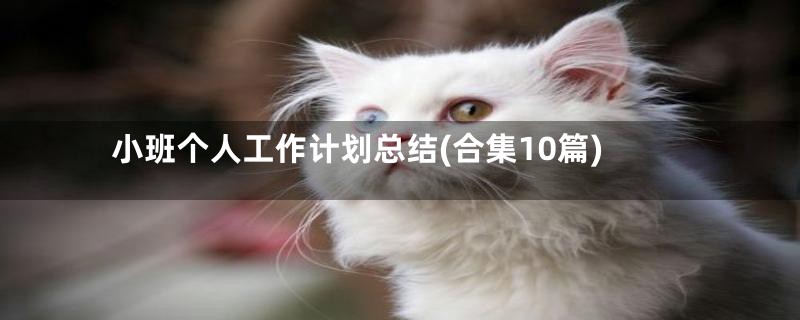 小班个人工作计划总结(合集10篇)