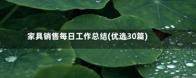 家具销售每日工作总结(优选30篇)