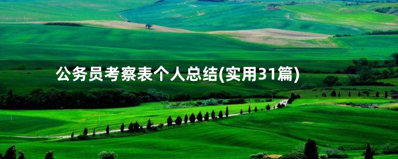 公务员考察表个人总结(实用31篇)