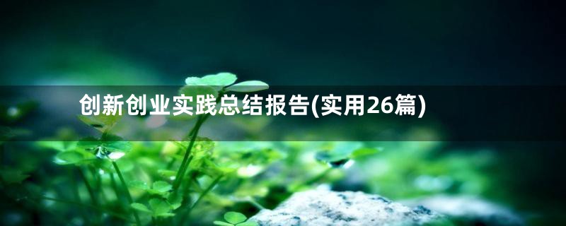 创新创业实践总结报告(实用26篇)
