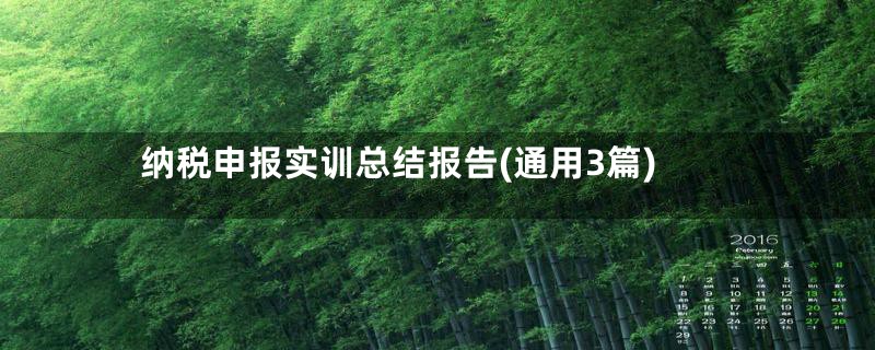 纳税申报实训总结报告(通用3篇)