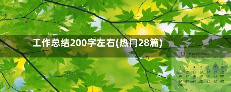 工作总结200字左右(热门28篇)