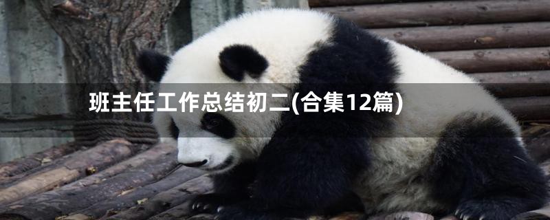 班主任工作总结初二(合集12篇)