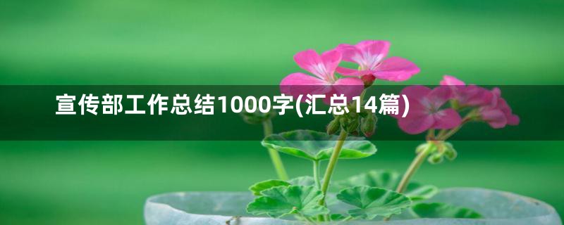 宣传部工作总结1000字(汇总14篇)