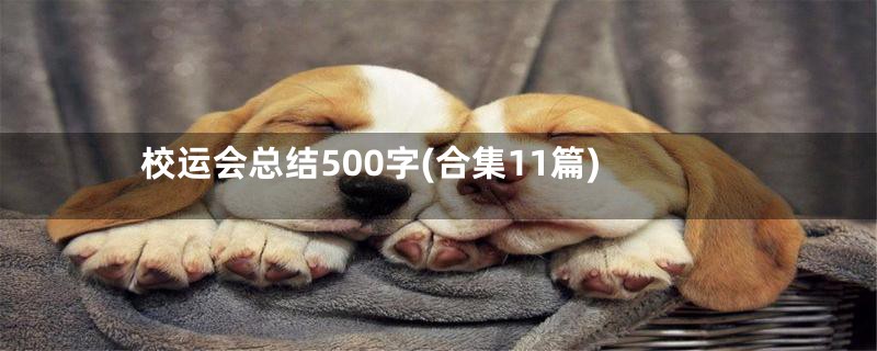 校运会总结500字(合集11篇)