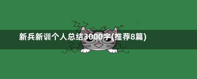 新兵新训个人总结3000字(推荐8篇)